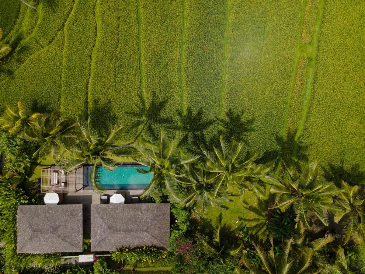 Kappa Senses Ubud Exteriér fotografie