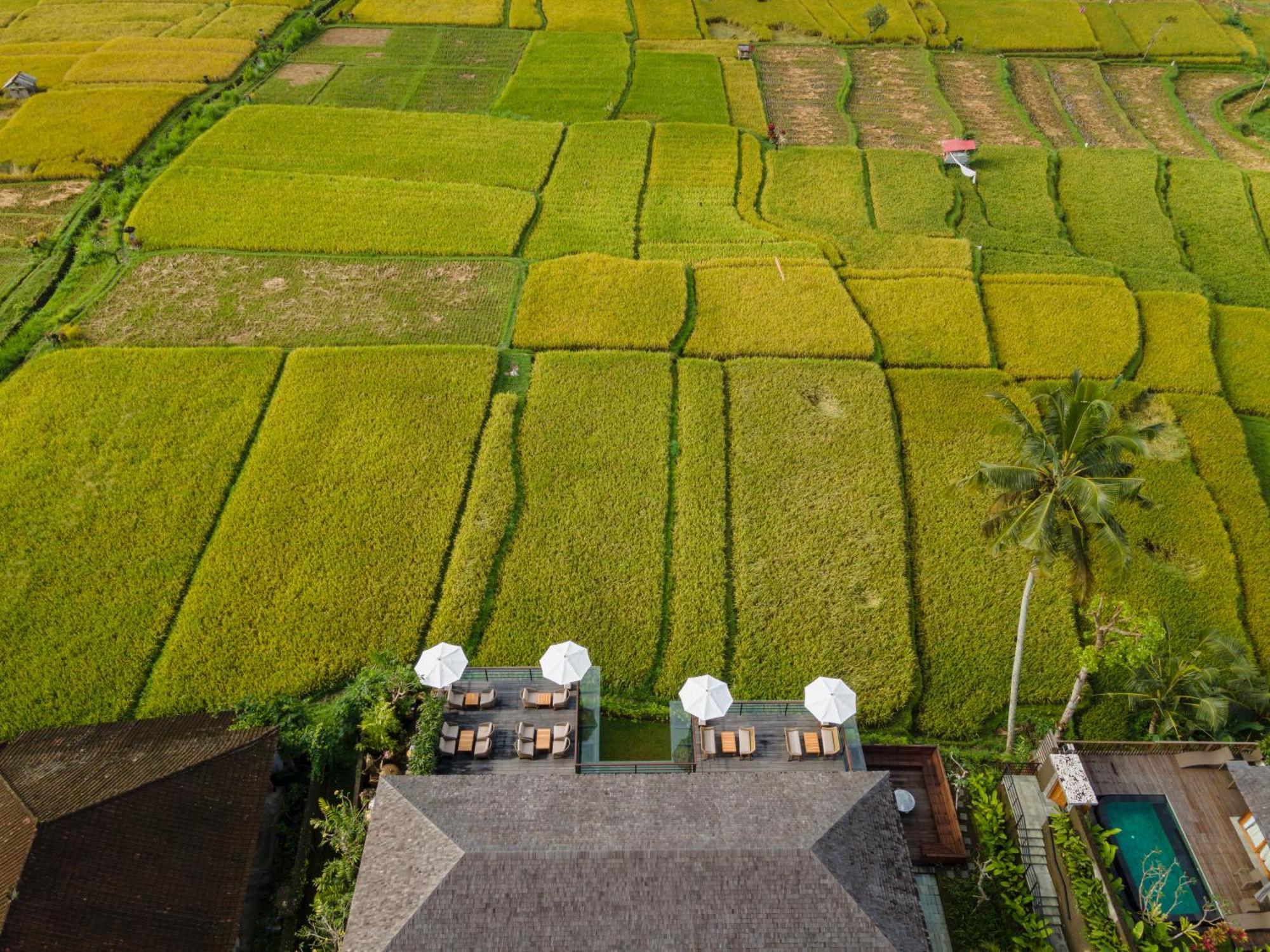 Kappa Senses Ubud Exteriér fotografie