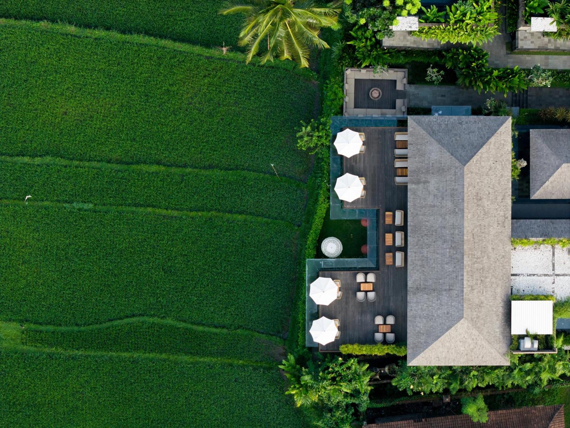 Kappa Senses Ubud Exteriér fotografie