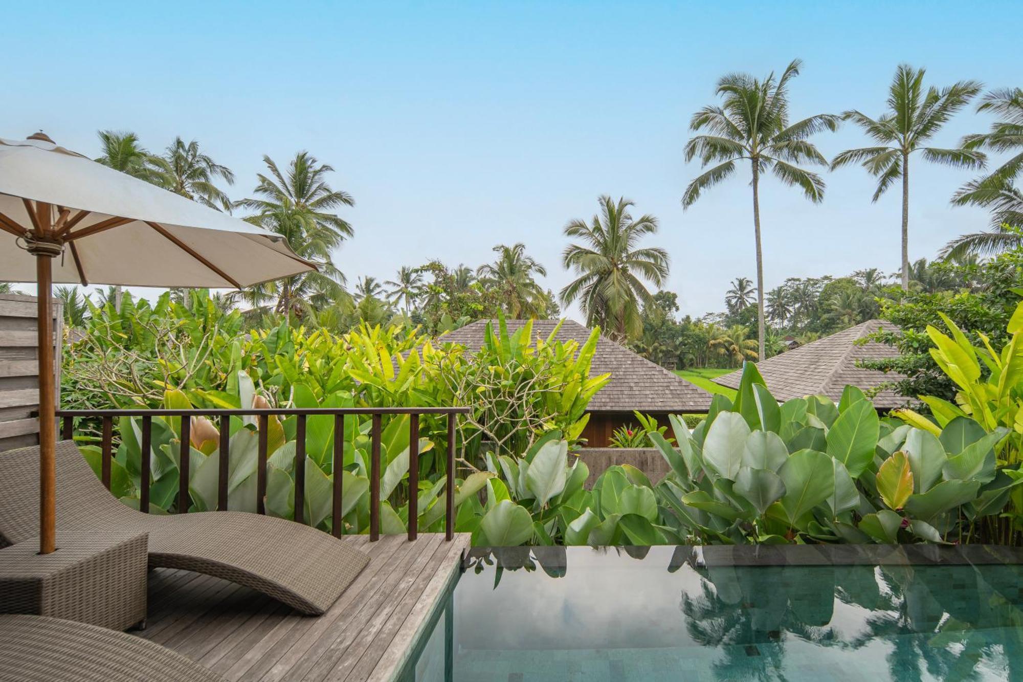 Kappa Senses Ubud Pokoj fotografie