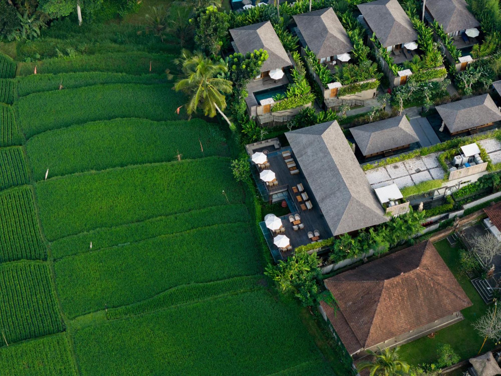 Kappa Senses Ubud Exteriér fotografie